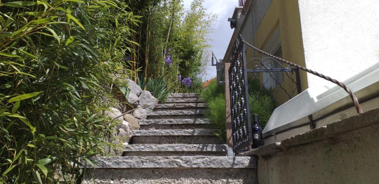 Ferienwohnung Wiesmuehlstrasse Henndorf am Wallersee Zewnętrze zdjęcie
