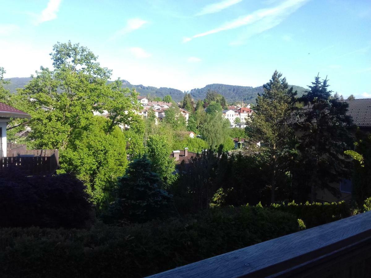 Ferienwohnung Wiesmuehlstrasse Henndorf am Wallersee Zewnętrze zdjęcie
